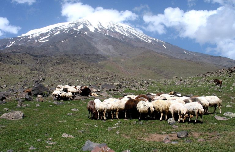 Nemrut, Suphan i Ararat