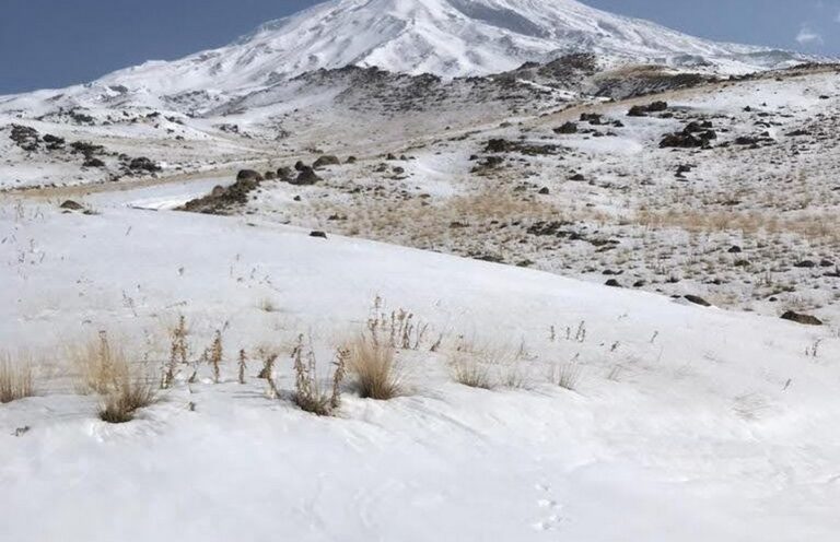 Zimowy Ararat